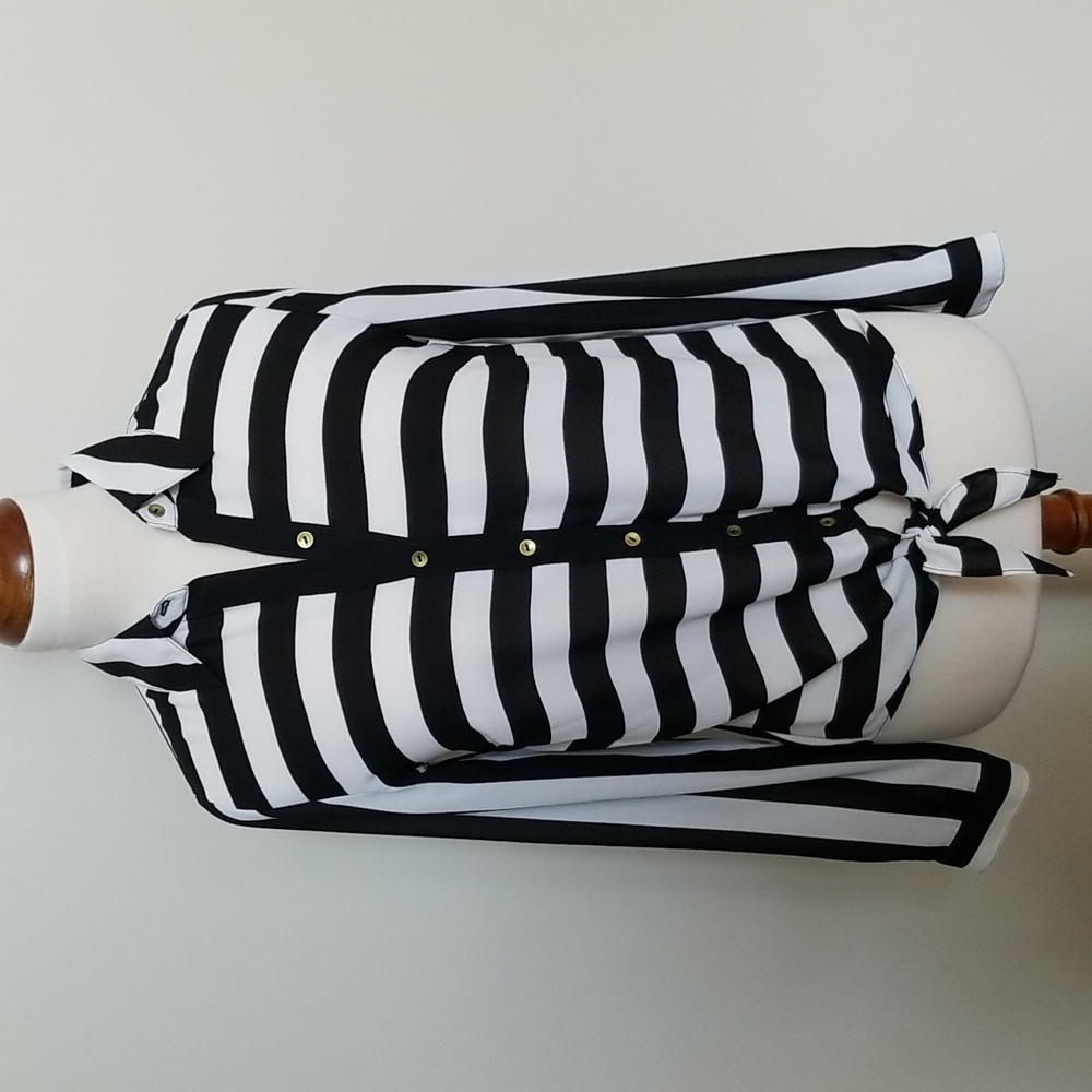 The Limited Classic Stripe Blouse